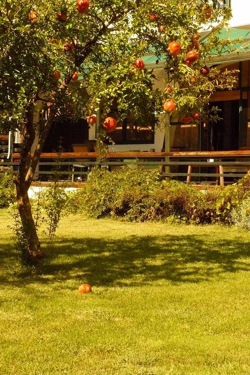 Trogirsunset Apartments מראה חיצוני תמונה