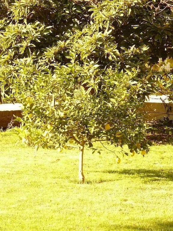 Trogirsunset Apartments מראה חיצוני תמונה